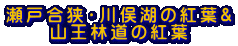 瀬戸合狭・川俣湖の紅葉& 山王林道の紅葉