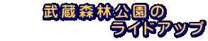 武蔵森林公園の 　　　　　　ライドアップ